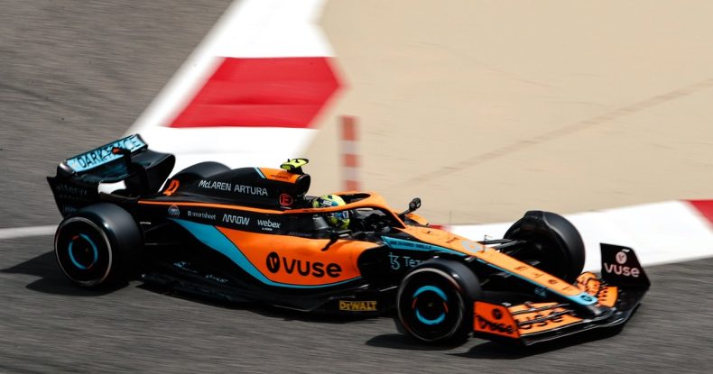 L.Norris: Vahid dövrədə güclənmişik