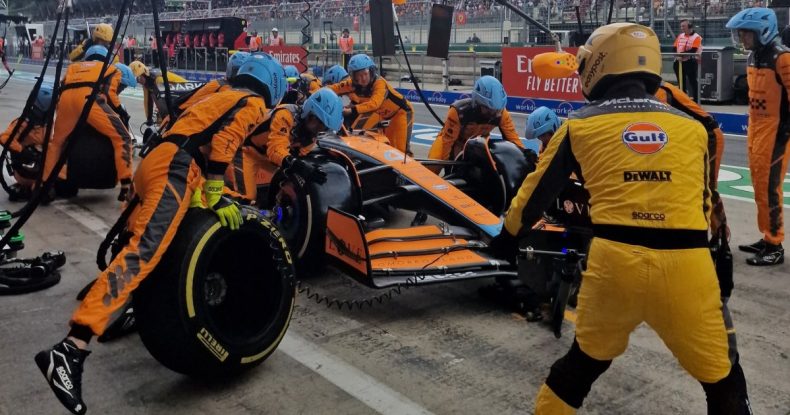 Pirelli təkərlərdən razı qalıb