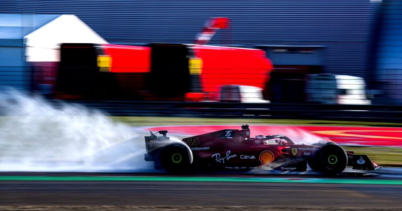 D.Hill: Ferrari-nin daha az işi var