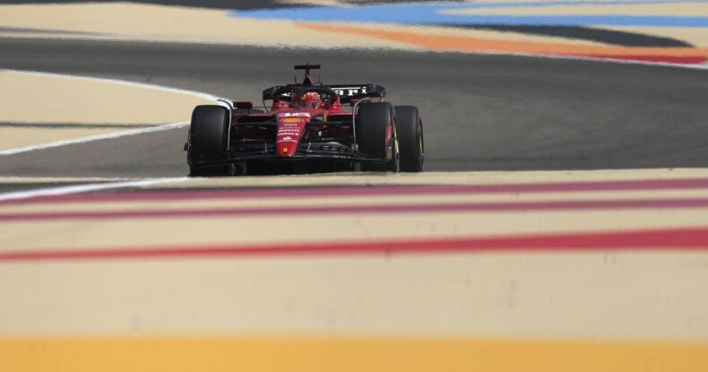 Ş.Lekler: Red Bull-un proqramı fərqlidir