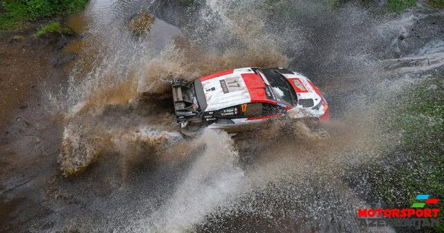 Safaridə qızğın mübarizə gedir Safaridə qızğın mübarizə gedir