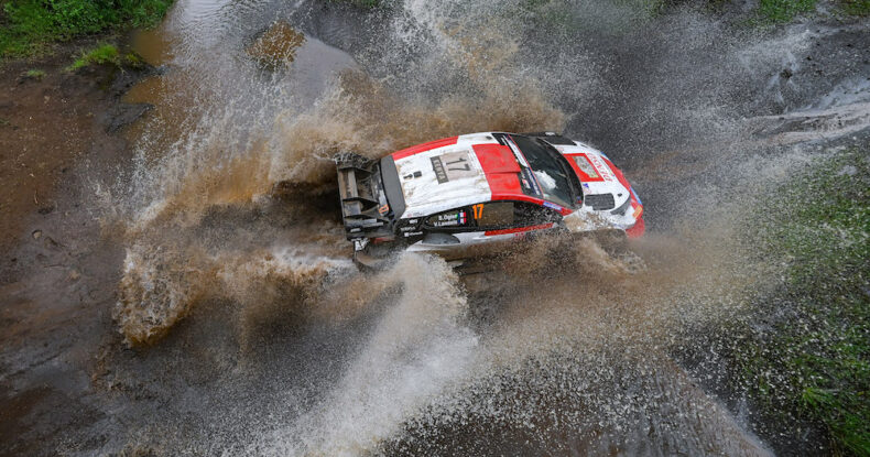 Safaridə qızğın mübarizə gedir